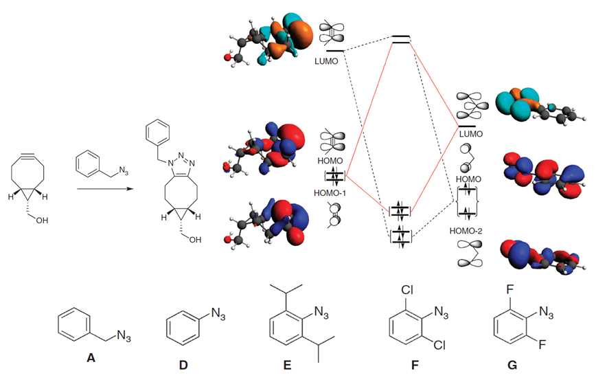 叠氮-环炔“Click”反应过渡态的轨道相互作用；反应性从A到G增加