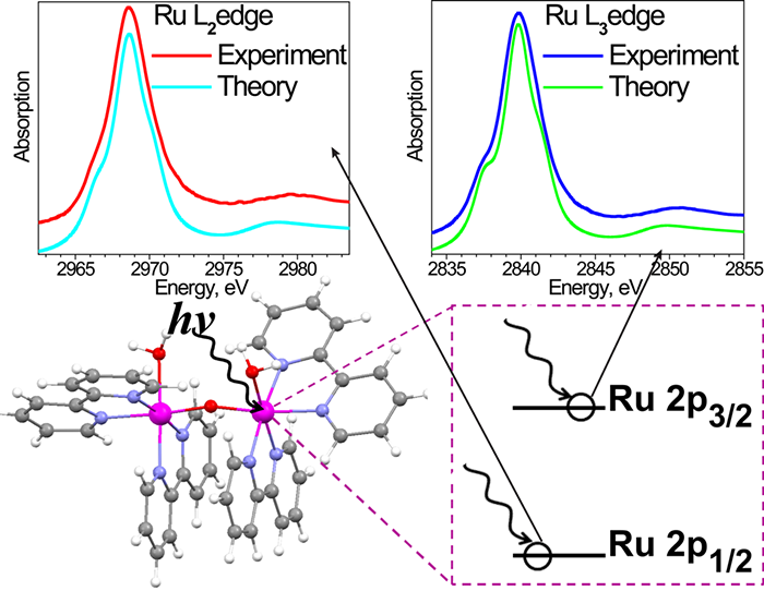 双钌催化剂cis,cis-[(bpy)2(H2O)RuIIIORuIII(OH2)(bpy)2]4+ (bpy = 2,2-bipyridine)的计算结果与实验结果极其相符