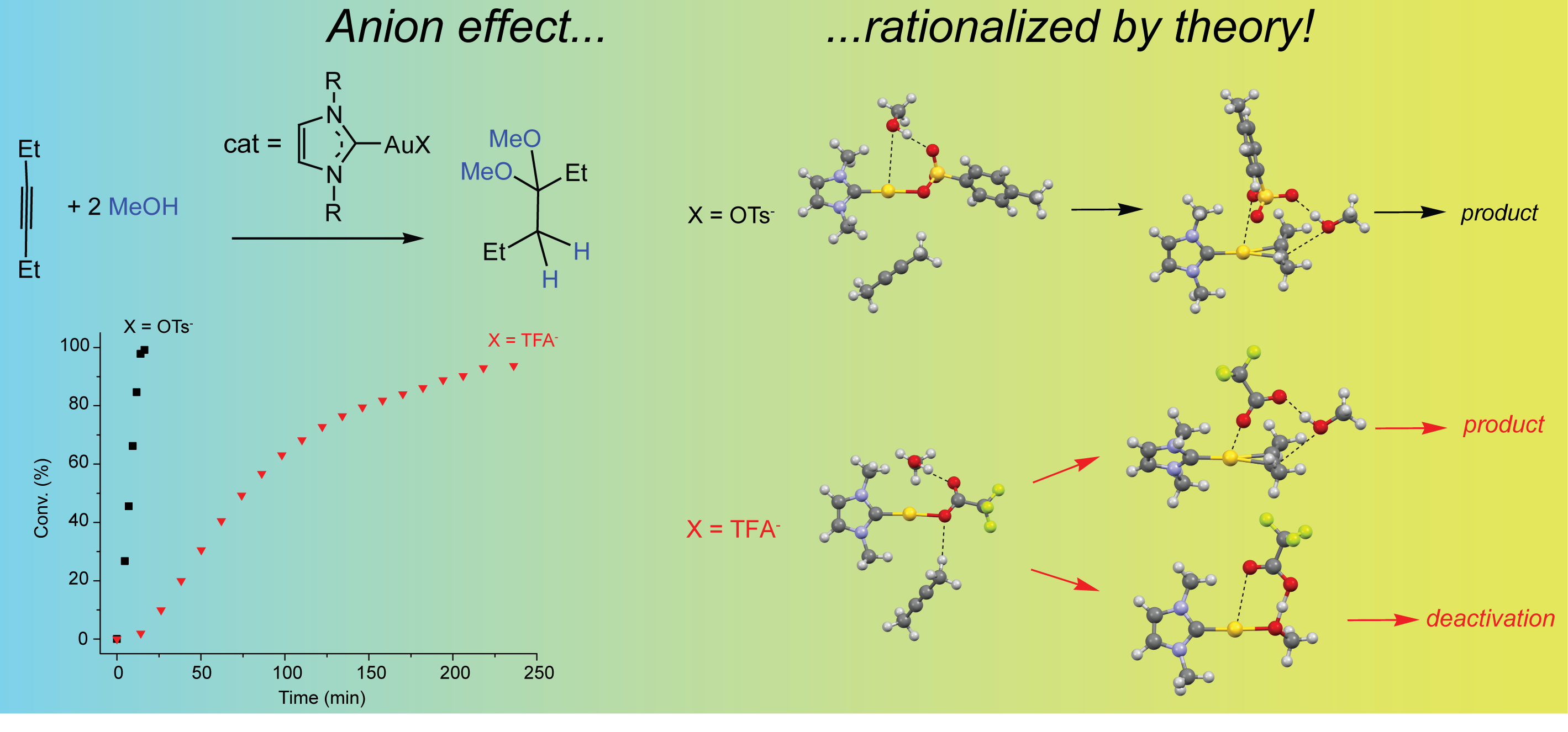 anion_effect_catalysis